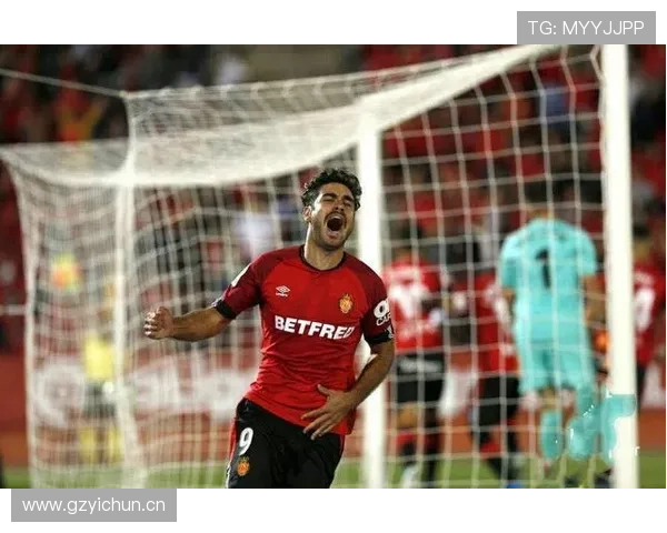 马洛卡本赛季数据分析：防守稳固，主场表现稳健