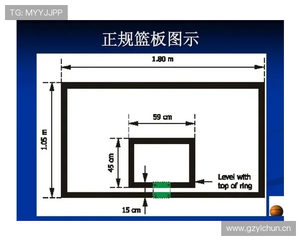 深入解析篮球比赛中球权判定规则的具体标准与执行依据